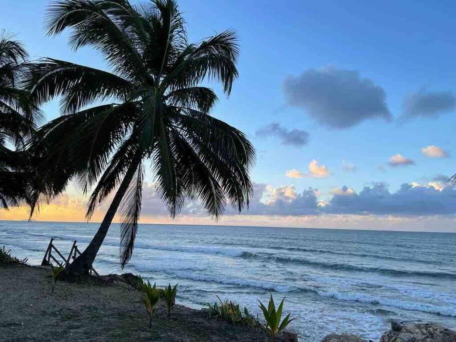My Dream Beach House อากัวดา ภายนอก รูปภาพ